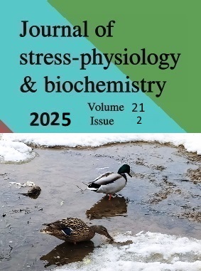 New Issue